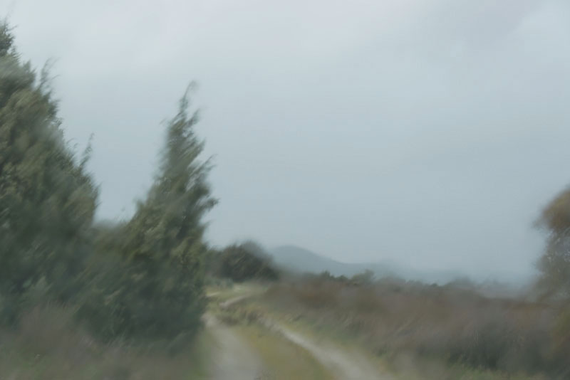 PETER MARGONELLI - The road to the Sea PETER MARGONELLI - The road to the Sea